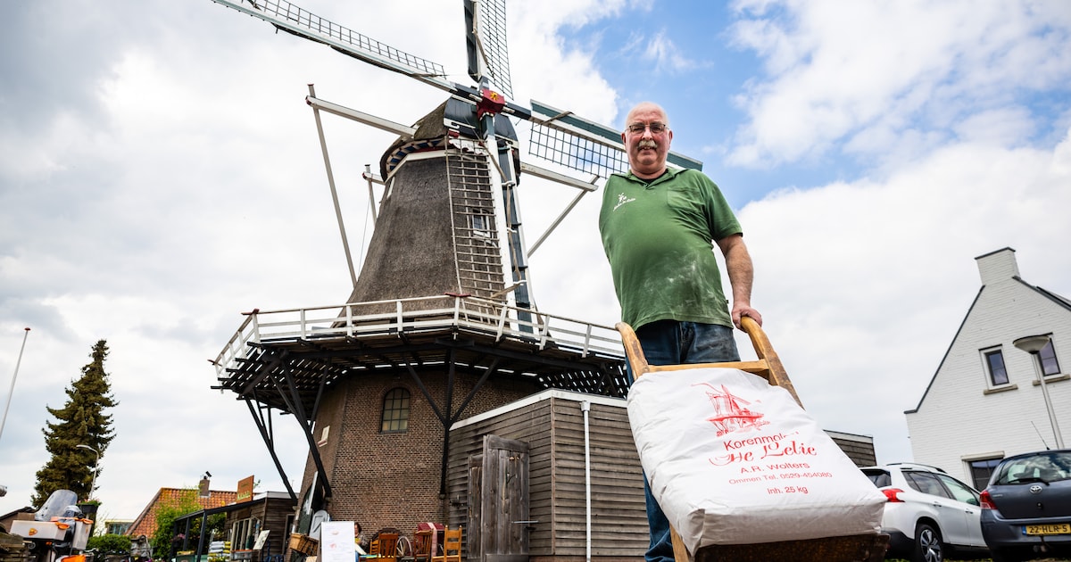 Molenaar Anton is klaar voor de toekomst: ‘Als de stroom uitvalt, kan ik altijd nog meel malen’