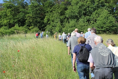 Zomerwandeling over landgoed Spijkerbosch op de Boskamp