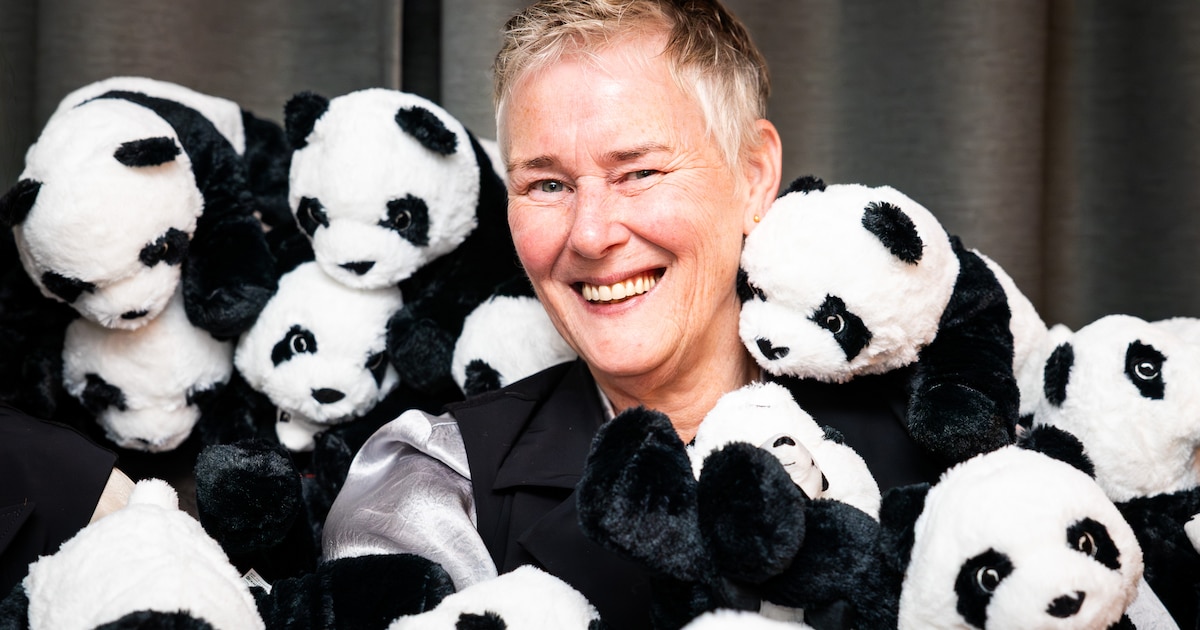 Ina (60) uit Hardenberg kan verder met haar troostbeertjes voor rouwende kinderen, dankzij hulp uit 