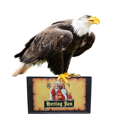 Goede zet van GelreDome om te stoppen met Bud-bier? ‘Bij Vitesse hoort een Hertog’