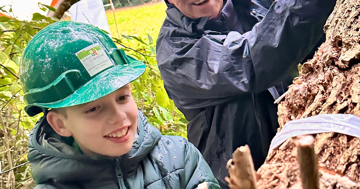 Overijsselaars zetten zich in voor natuur en landschap