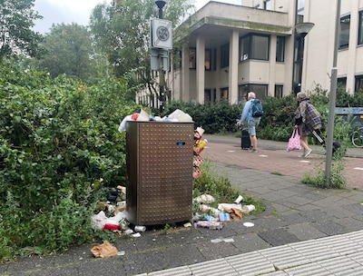 Amersfoort zucht onder rattenplaag, en daar kunnen ze ook op de Berg over meepraten: ‘Eerder nooit l