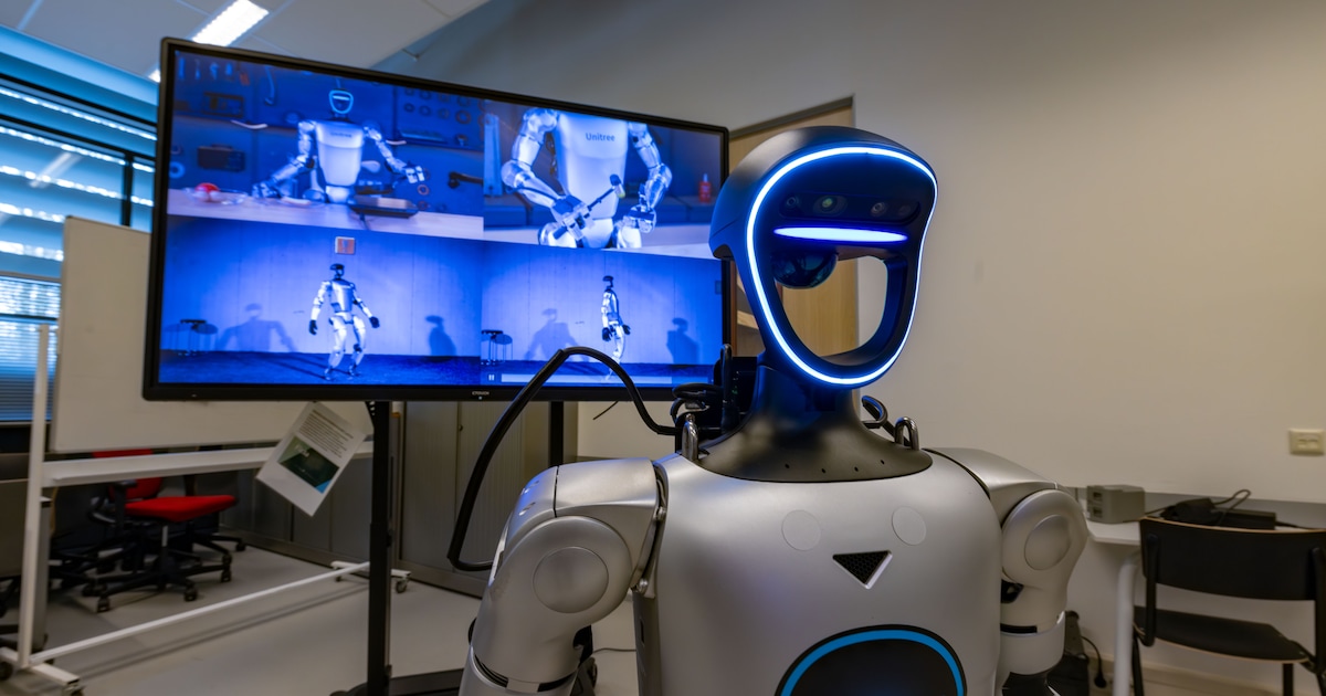 Cody heeft twee ouders, is 1,30 meter groot en kost 70.000 euro: de werknemer van de toekomst