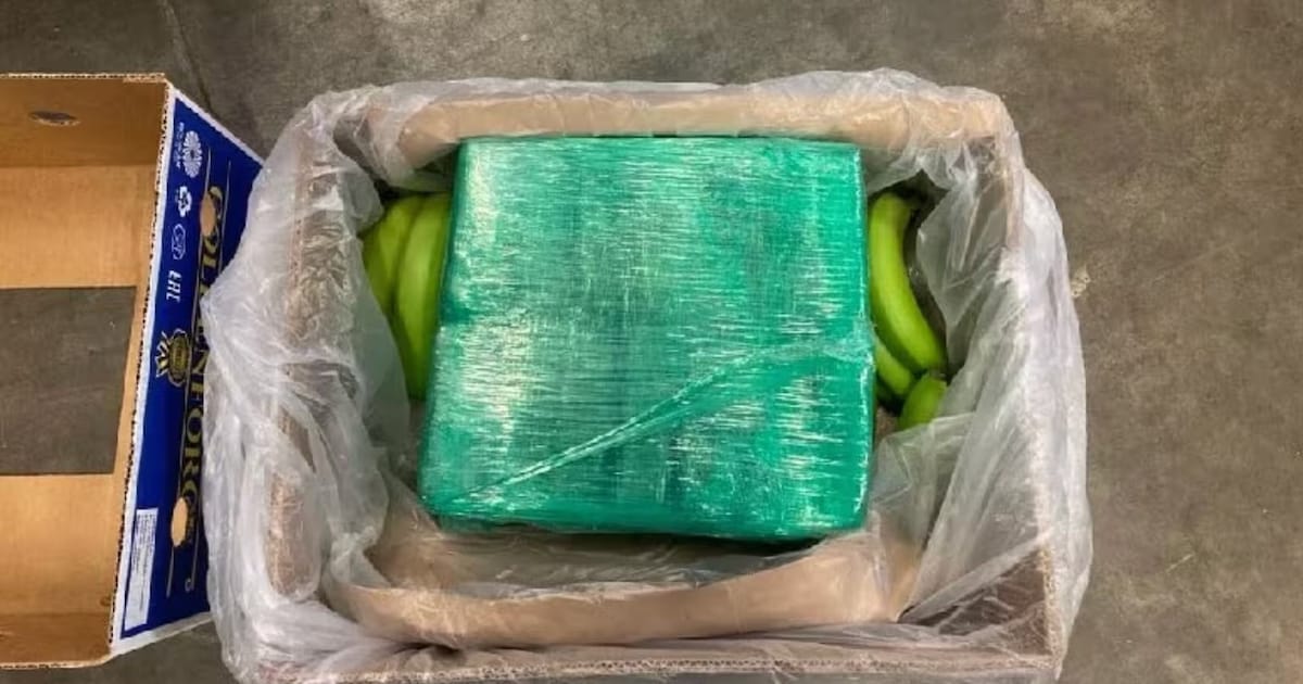 Cocaïne tussen bananen en ze noemen elkaar ‘Cola’ en ‘Fanta’: tien mannen moeten vrezen voor lange c