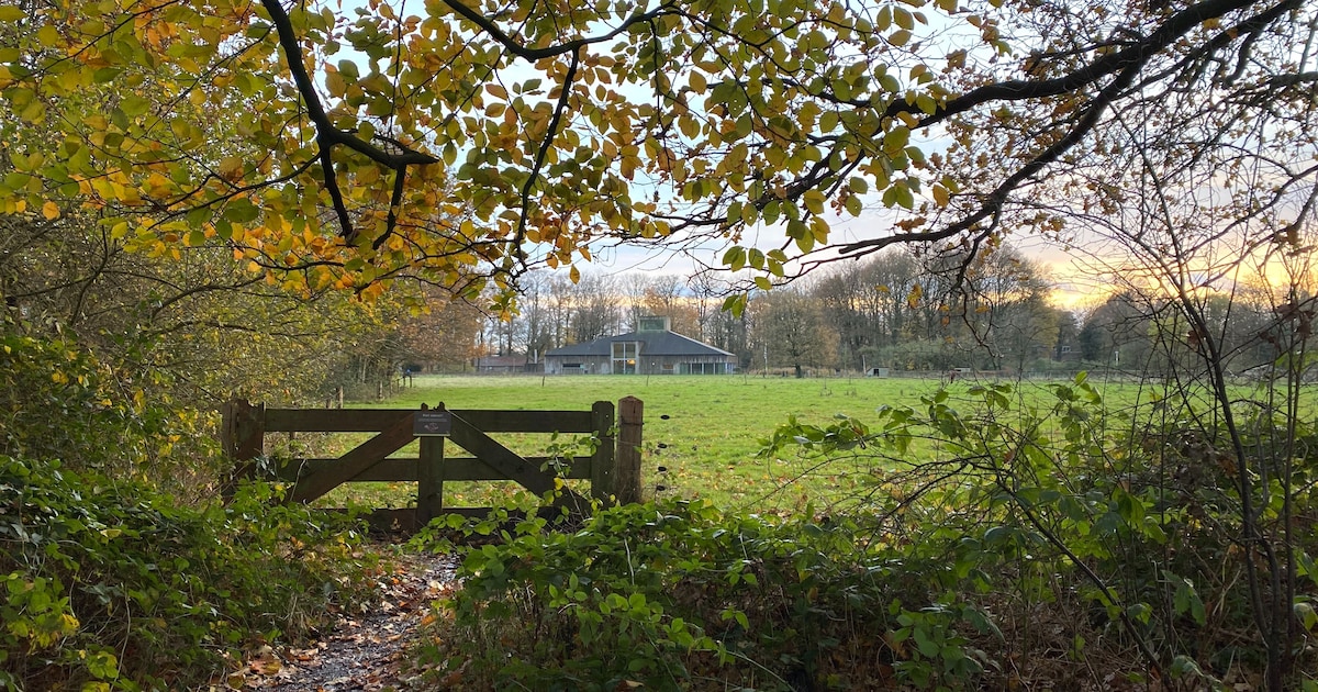 Politie rukt ‘s nachts uit naar Park Schothorst, maar niet voor een verdachte situatie