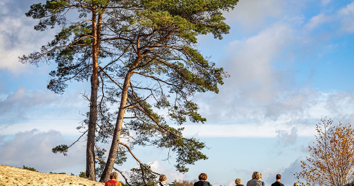 Excursies van start door natuurgebied Beerze