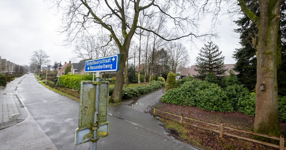 Trekker en shovel passen volgens gemeente Hengelo niet in woonwijk, bewoner stapt naar de rechter