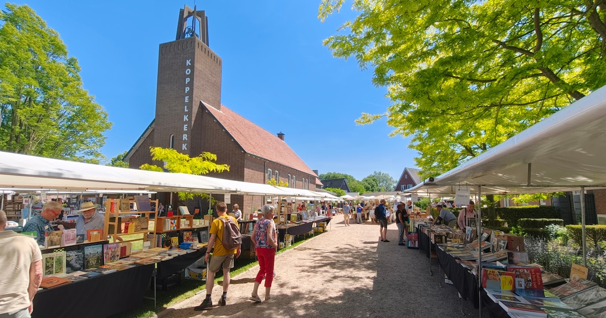 Zomerboekenmarkt in Bredevoort trekt Nederlandse en Duitse handelaren