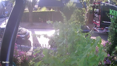 Hengelo geeft inwoner schadevergoeding vanwege te laag hangende tak, maar zoekt uit of chauffeur fou