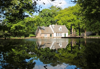 Wandeling door de Montferlandse bossen