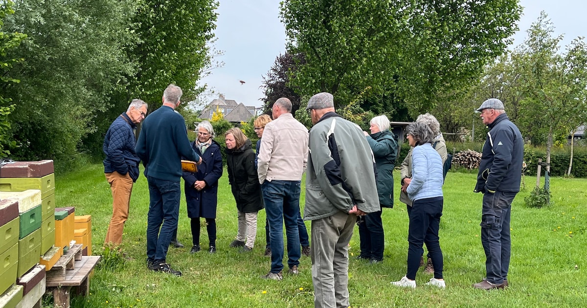 Open erven in Veluwegemeenten tijdens biodiversiteitsweek