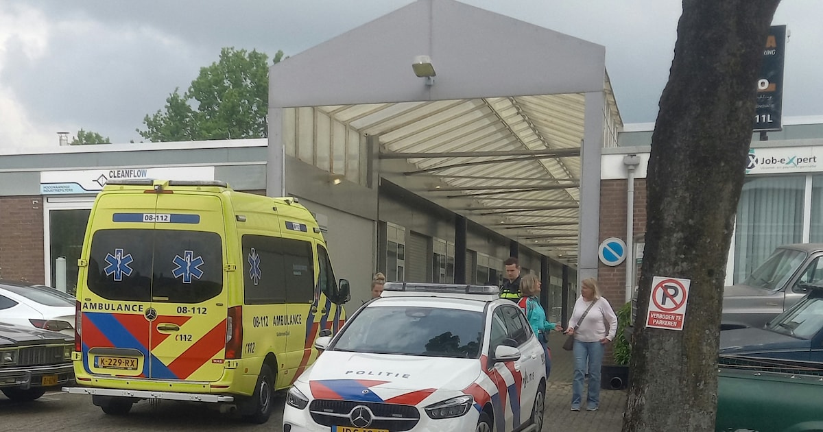 Hulpdiensten rukken uit na ongeluk met ladder