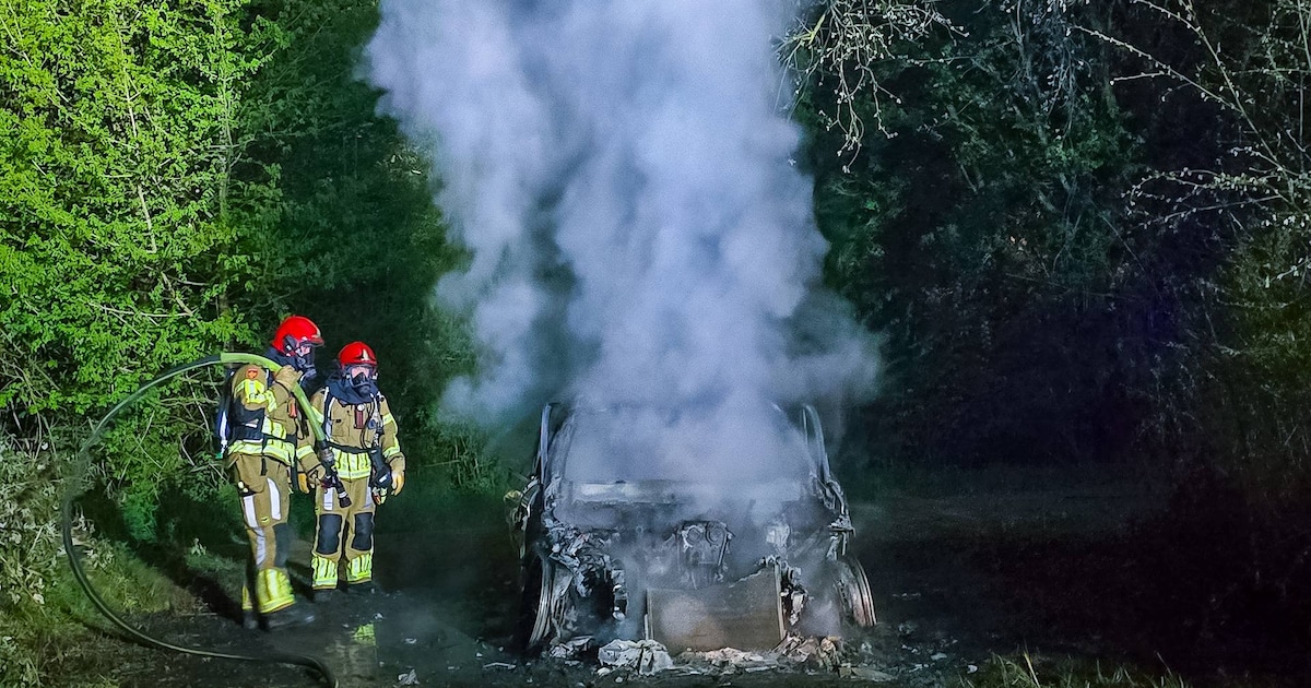 Auto brandt uit in bosgebied langs de Zuigerplasdreef in Lelystad