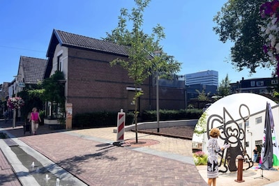 Mysterie: waarom is het Jarig Aapje aan de Grote Markhof verdwenen?