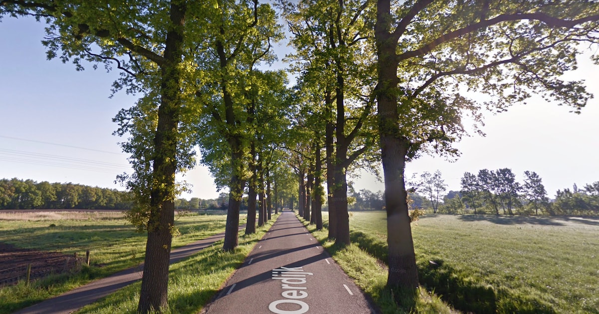 Dijk tussen Lettele en Schalkhaar tijdelijk afgesloten vanwege snoeiwerkzaamheden