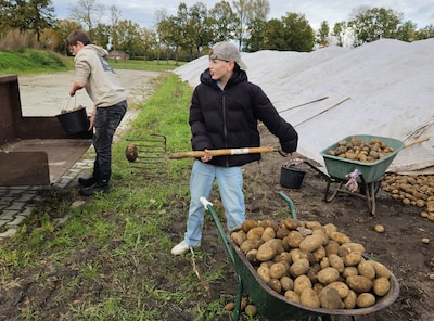 Dit stuurden jullie in: Aardappels voor de deelkast • Mountainbikeroute Sallandse Heuvelrug weer ope