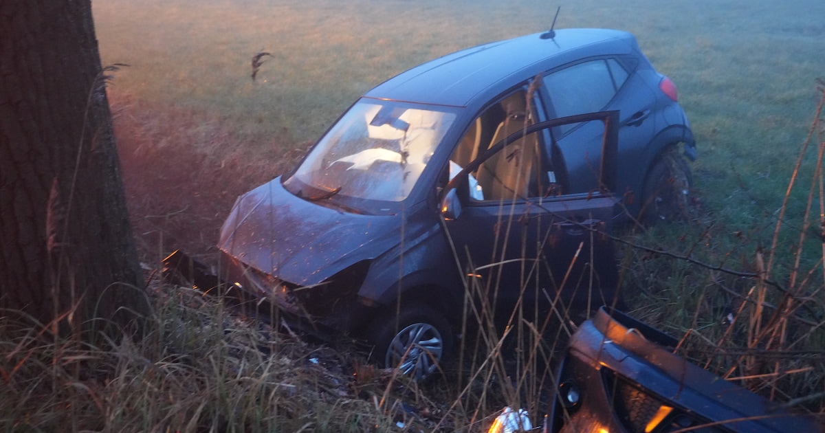 Auto vliegt uit de bocht bij Wijhe en belandt met flinke schade in de berm