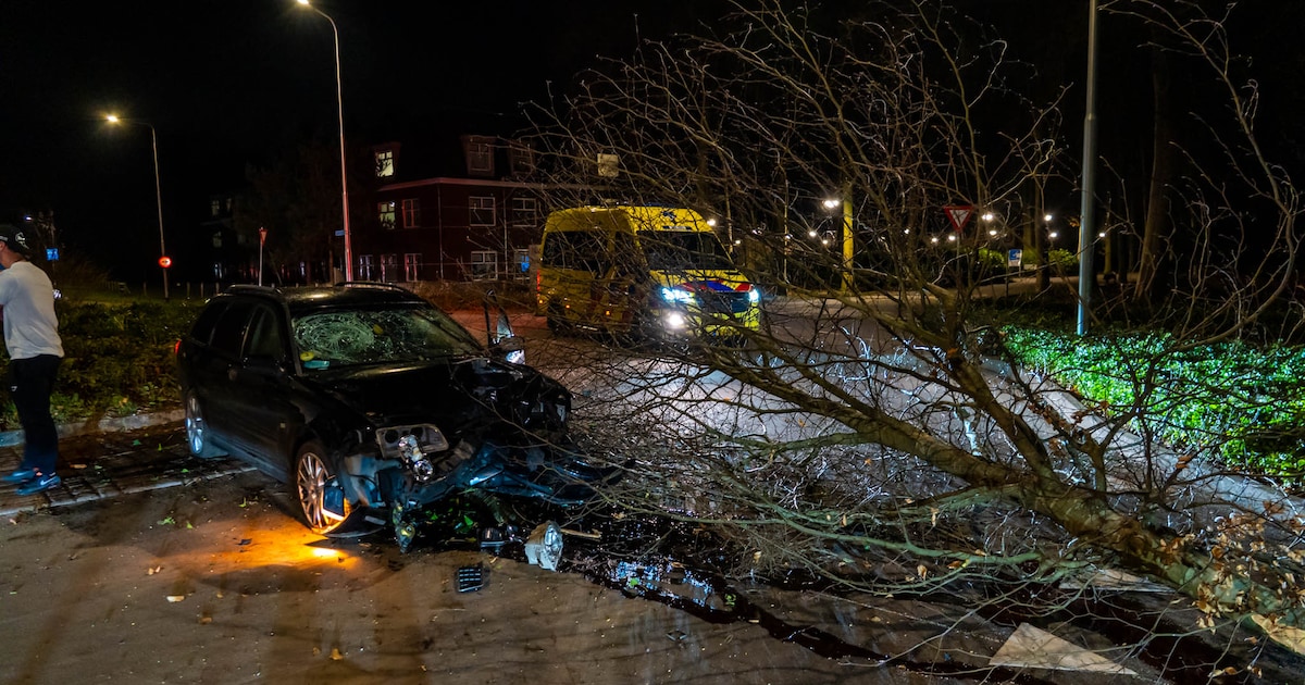 Automobilist rijdt op hoge snelheid rechtdoor op rotonde in Ermelo