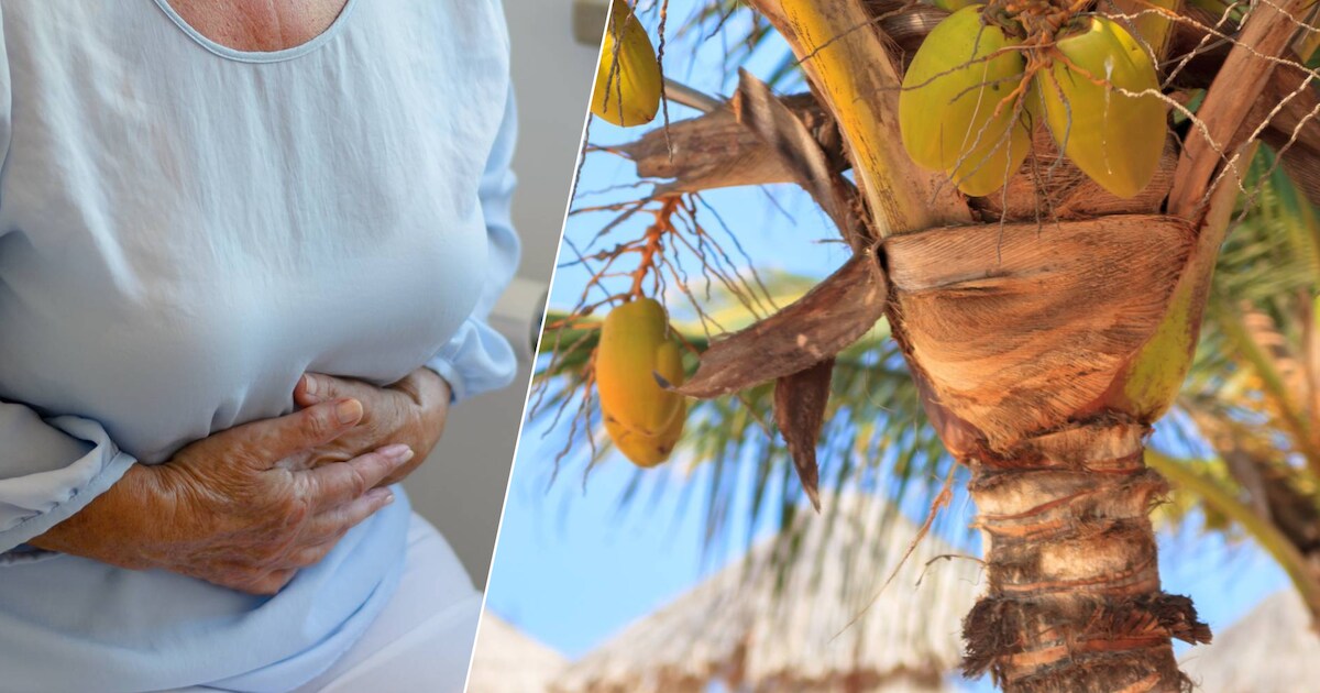 Nederlandse reizigers lopen op Kaapverdië bloederige diarree op: zo