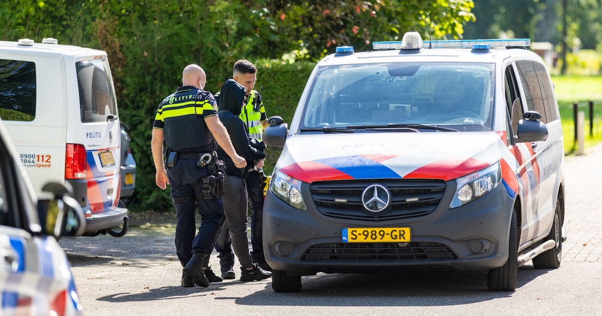 Grote zoekactie naar voortvluchtige man in Nieuwleusen na politieachtervolging