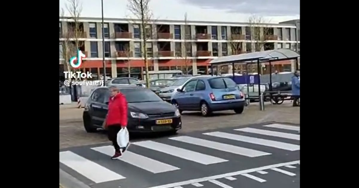 Man (20) opgepakt voor aso-actie bij Aldi Emmeloord