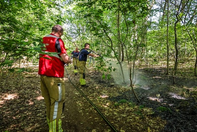 Brand in struiken in bosgebied Nimmerdor snel geblust