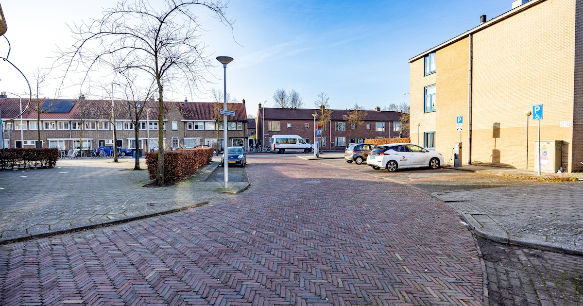 Bewoners van deze straat in Zwolle mogen door nieuw beleid niet meer aan overkant parkeren