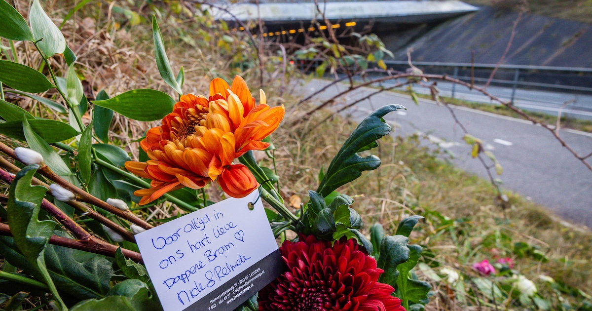 ‘Voor altijd in ons hart’: rouwboeketten neergelegd voor doodgeschoten wolf