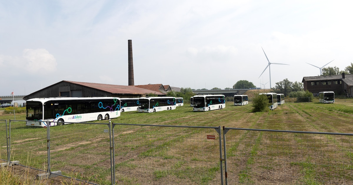Bij steenfabriek langs de IJssel staan plots 15 gloednieuwe bussen geparkeerd