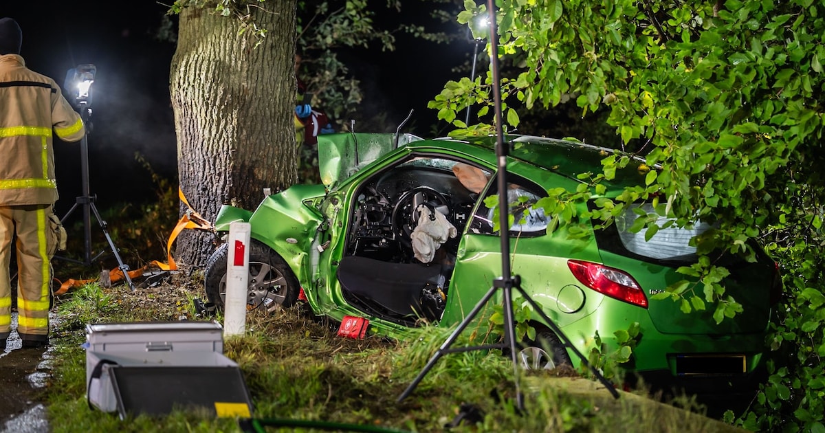 Vrouw (32) overleden bij ongeluk bij Ruurlo, slachtoffer zat achterin auto die op boom botste