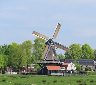 Deze zes molens in de regio Amersfoort zijn zaterdag open tijdens Nationale Molendag