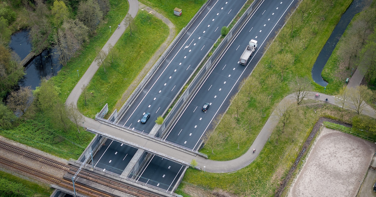 Snelweg bij Meppel uren dicht door water op het wegdek: ‘Er is ontzettend veel regen gevallen’