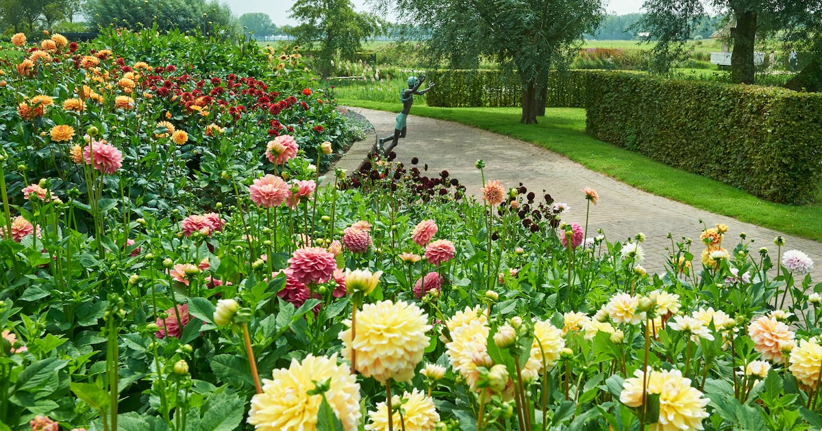 Tekenen in Bloemenpark Appeltern: twintig jaar botanische kunst