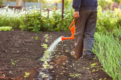 Herenboeren ’t Maatje officieel coöperatie in Gaanderen