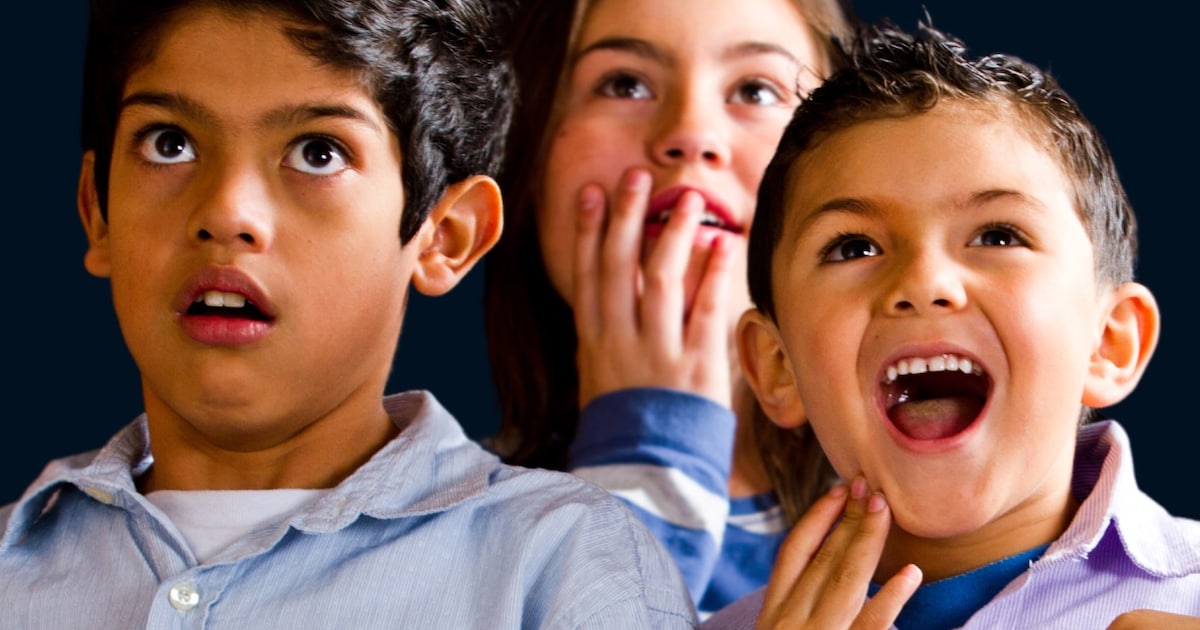 Bibliotheek Biddinghuizen wordt weer bioscoop in de meivakantie