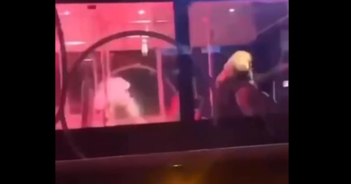 Aarnoud (53) zoekt daders die vuurwerk in bus gooiden en zijn vrouw verwondden