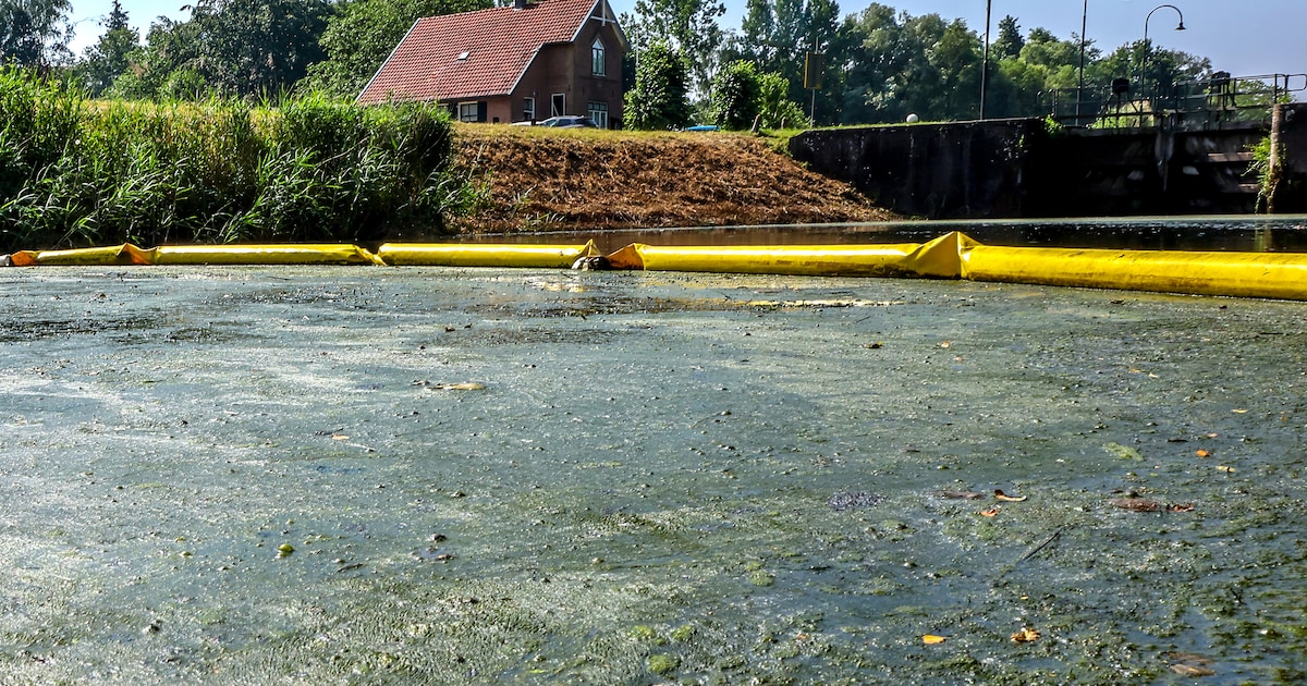 Vervuild water uit Apeldoorns Kanaal weg, maar één maatregel blijft