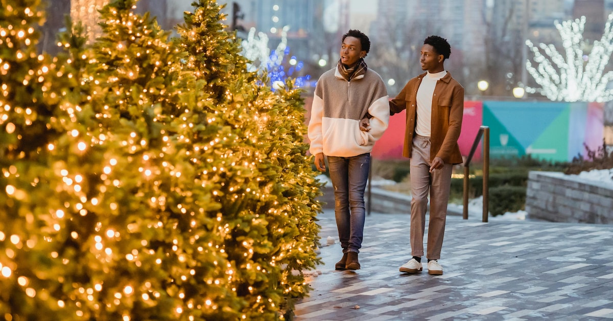 Van bestellen vanaf je bank, tot adopteren: op deze 5 plekken in Lelystad kun jij je kerstboom halen