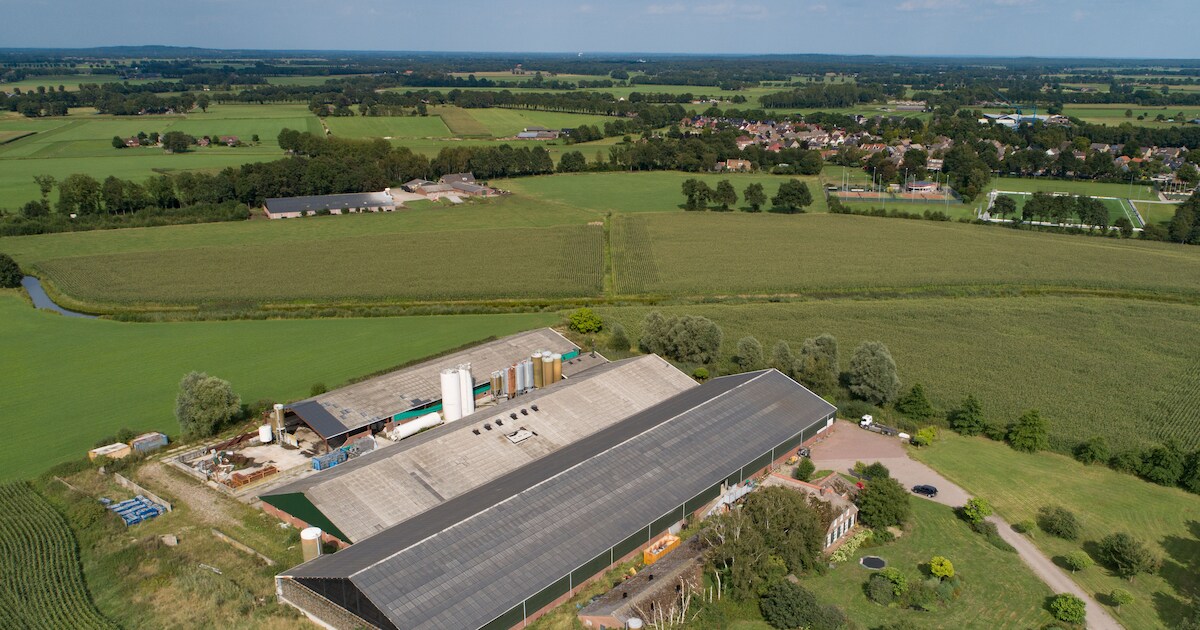 Omstreden varkenskoning zet stallen in verkoop. Is de megastal van Mariënheem van de baan?