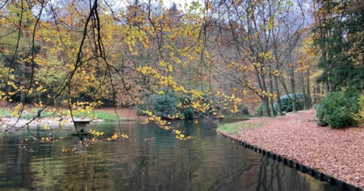 Boswachters begeleiden wandeling in Oosterbeek
