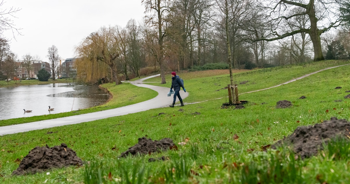 Parken in Deventer in slechte staat, gemeente grijpt in om bodem te verbeteren