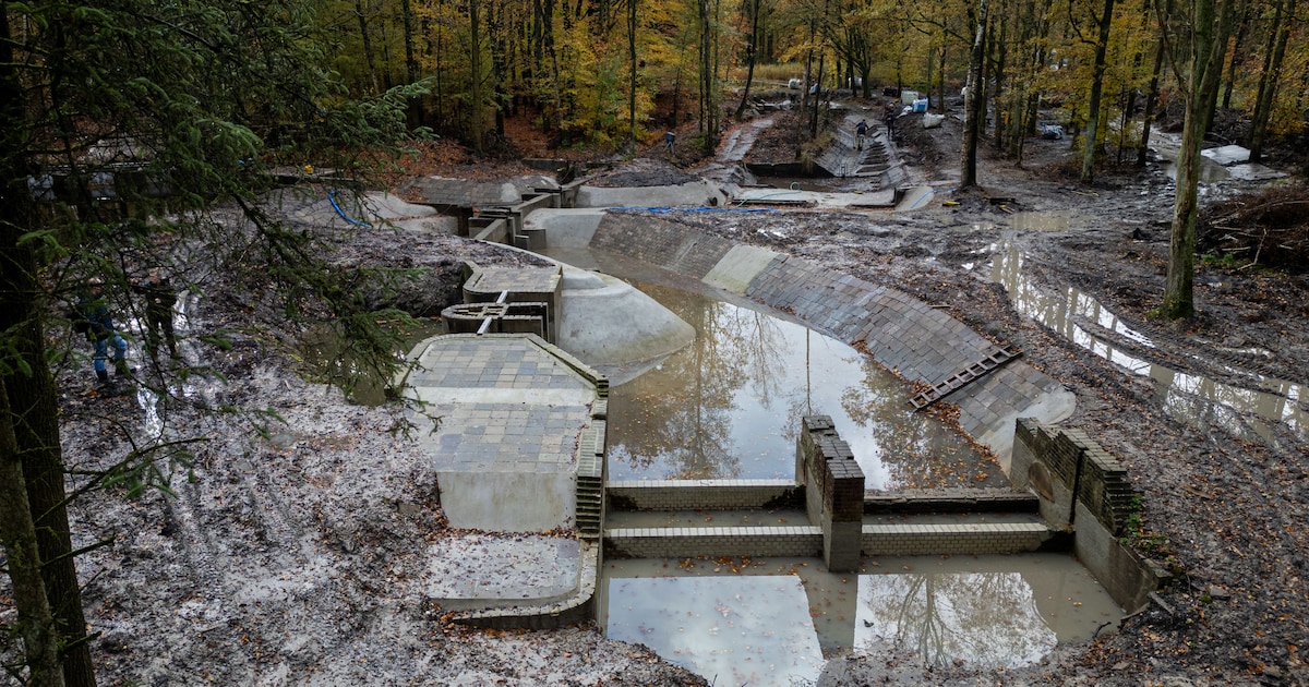 Man trekt zich af in bos vol wandelaars, de volgende dag vindt de wijkagent hem