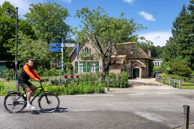 Onkruid tussen de stenen en overspannen ambtenaren: Kan Rozendaal verder?