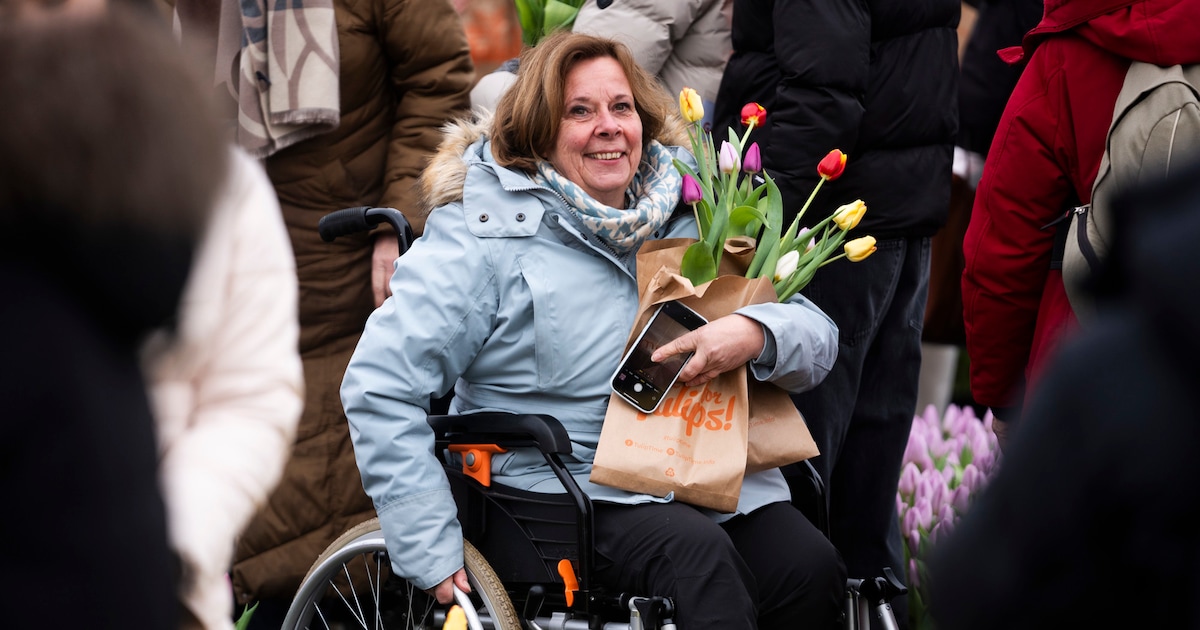 Nationale Tulpendag 2026: pluk gratis een bosje lente op het Museumplein