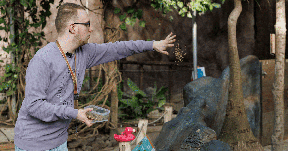 De droombaan van Ferry (21), met een roze flamingo in zijn hand: ‘Dit is geweldig’