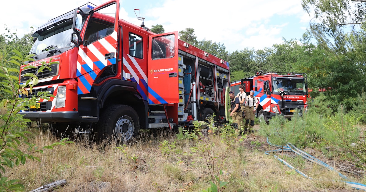 Melding ‘zeer grote brand’ bij Wapenveld blijkt mee te vallen: ‘Wind kwam van alle kanten’