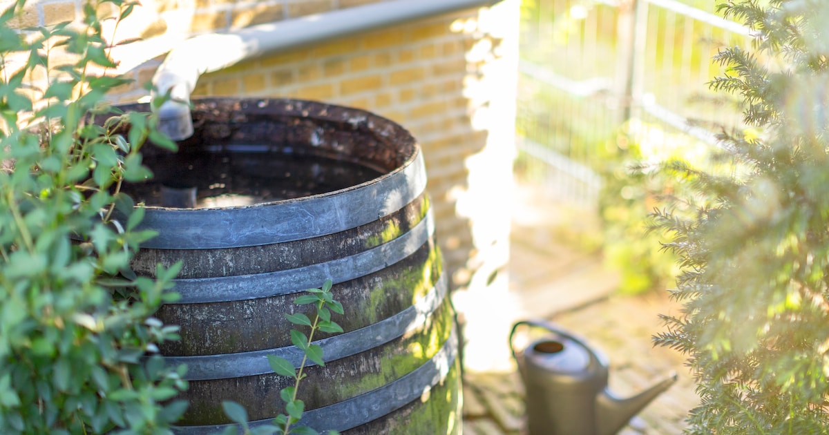 Subsidie voor inwoners van Nunspeet die tuin willen vergroenen