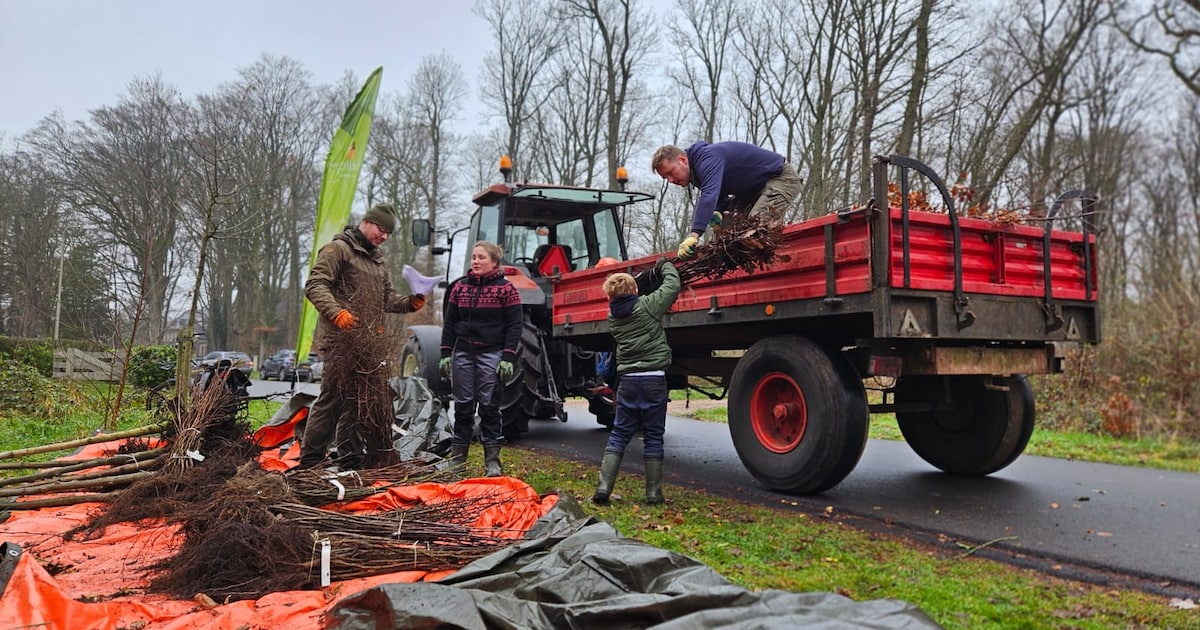 In Hardenberg ruim 6400 bomen en struiken afgehaald tijdens Boomdeeldagen