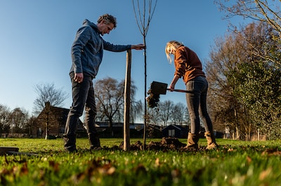 Gemeente Voorst versterkt biodiversiteit met plantproject