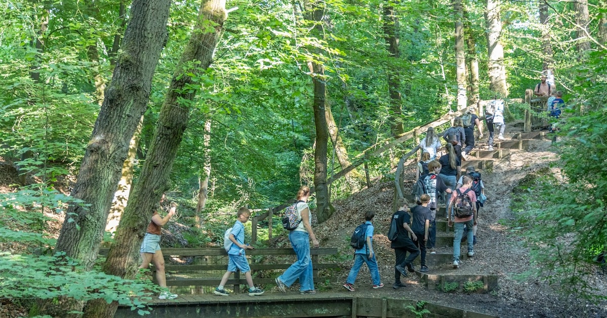 Wandel4Daagse Eerbeek krijgt nieuwe route en trekt ruim 900 deelnemers